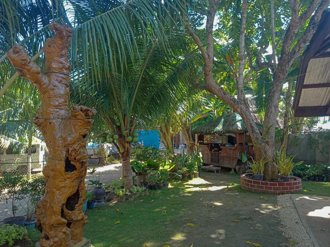 Pitaya Native Guest House Panglao Εξωτερικό φωτογραφία