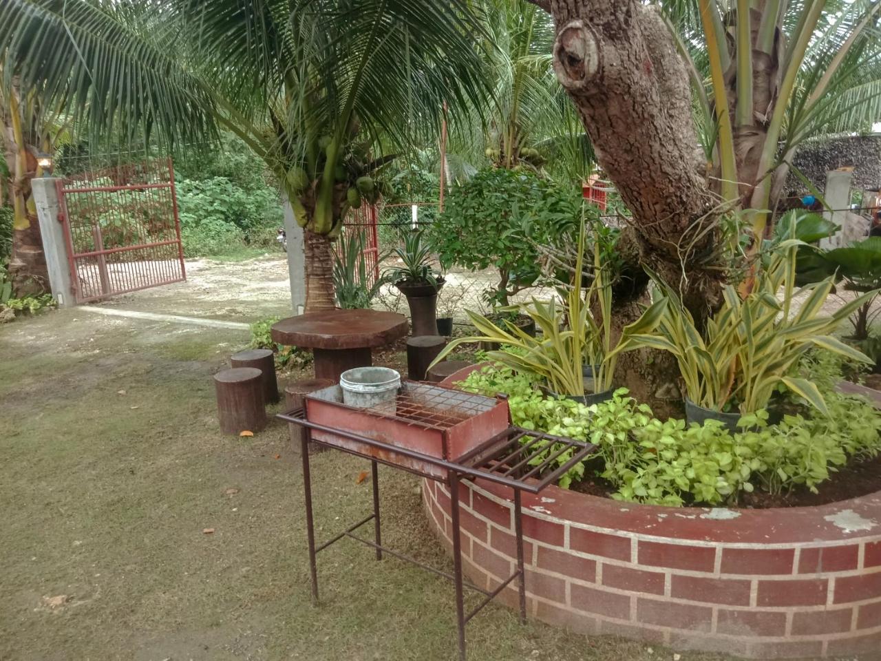 Pitaya Native Guest House Panglao Εξωτερικό φωτογραφία